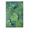 Palm Leaf Outdoor Rug by Ashland®